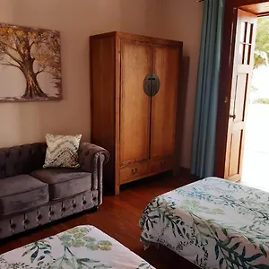 Сasa de vacaciones Dragos, Fuencaliente de la Palma